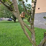 Seraval Valsesia Апартаменты *