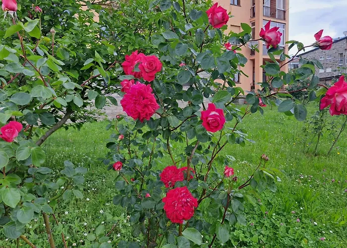 Seraval Valsesia Daire *